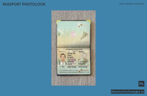 Beispielansicht für ein Passfoto aus Salvador